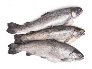 Gutted trout fishes