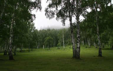 Obraz premium Southern Urals