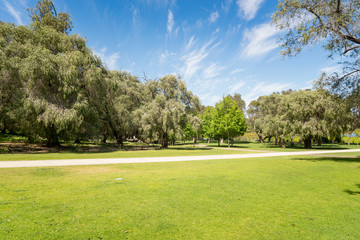 Stone Pathway in a Yanchep National Park