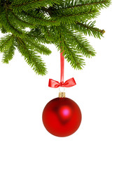 Red Christmas decor ball on green tree branch isolated on white