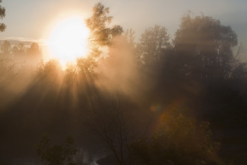 Obraz na płótnie Canvas rays of the rising sun
