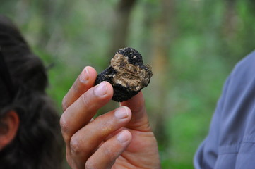 a truffle