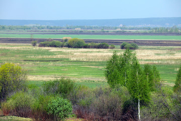 Obraz na płótnie Canvas Spring field