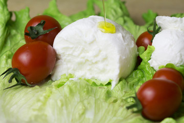 Close up of fresh  mozzarella  on plate of salad and tomatoes