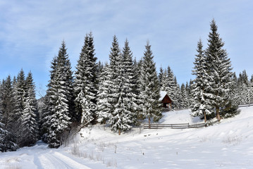Mountain wooden chalet covered with fresh snow
