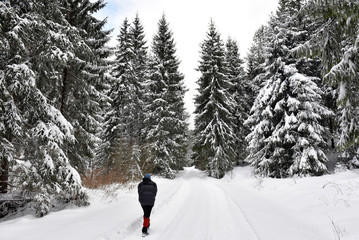 Woman walking alone in winter forest