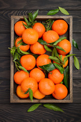 Fresh tangerine clementines with leaves in wooden tray on dark wooden background, top view, vertical.