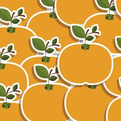 silhouette colorful pattern of tangerines fruit with stem and leafs vector illustration