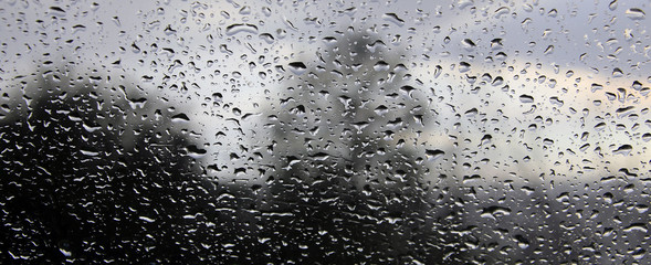 raindrops on the glass