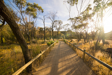 Path through  Wave Rock, Hyden, Western Australia , sunset scene .