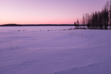 Beautiful pink winter landscape 