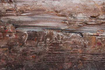 old wood texture