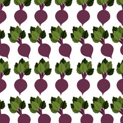 colorful pattern with beet vegetable vector illustration