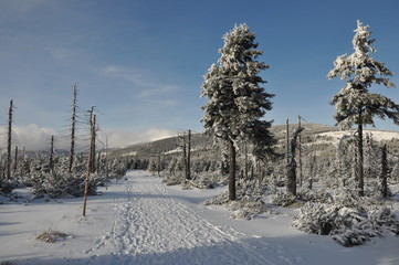 Winter im tschechischen Riesengebirge/Krkonoše