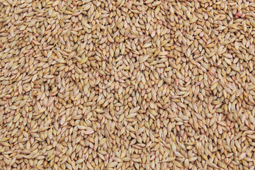 selected grain