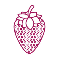 contour purple line with strawberry vector illustration
