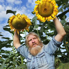 man in the sunflowers - 129429555