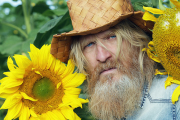 man in the sunflowers - 129429574