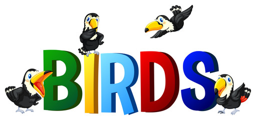 Font design with word birds