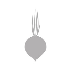 silhouette gray color with onion vegetable vector illustration