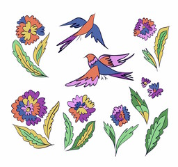 Set of fantasy flowers, leaves and beautiful birds. Colorful floral design elements isolated. Vector illustration hand drawn