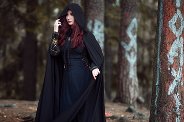 Young beautiful and mysterious woman in woods, in black cloak with hood, image of forest elf or...