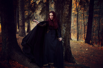 Young beautiful and mysterious woman in woods, in black cloak with hood, image of forest elf or witch