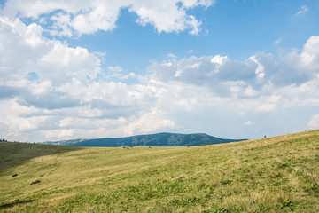 Fototapeta premium Carpathian summer landscape, meadow and clouds in the blue sky