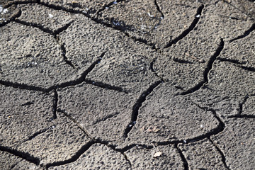 Cracked dry soil background