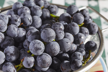 A bowl of Concord grapes