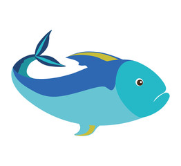 colorful silhouette with sea fish blue vector illustration