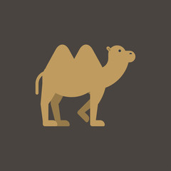camel icon. flat design