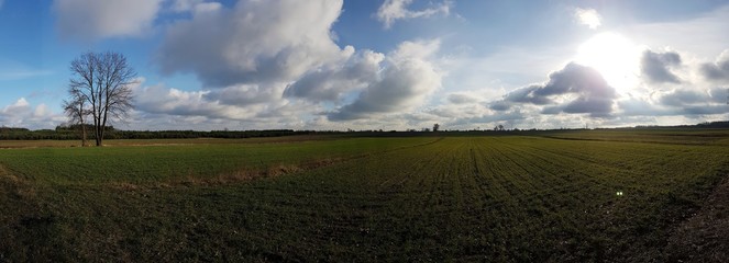 Panorama pole © michalsen