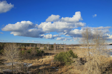 clouds over the forest in the spring