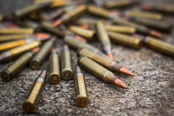 assault bullet
