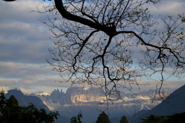 Dolomiti © chiarafornasari