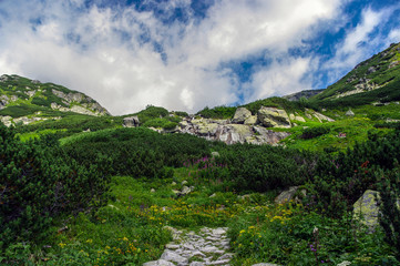 Fototapeta na wymiar Summer landscape in Mengusovska Valley. Tatra mountains. Slovaki