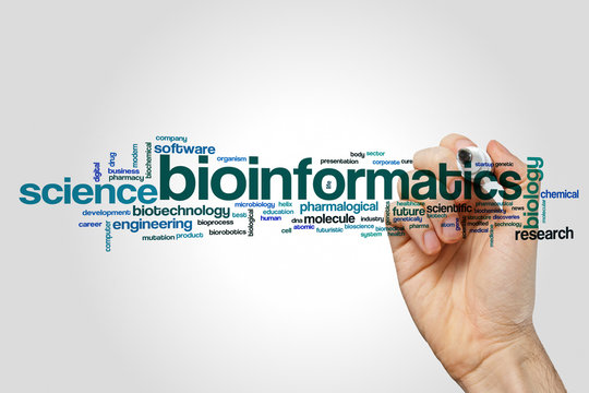 Bioinformatics word cloud