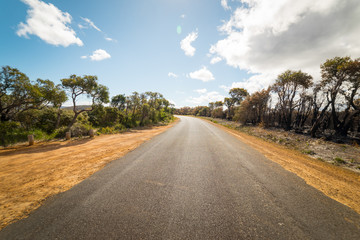 Fototapeta na wymiar asphalt road in Walpole ,Australia .