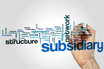 Subsidiary word cloud