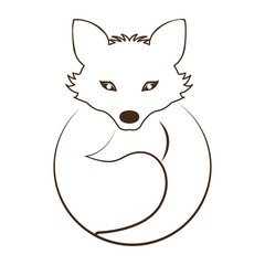 silhouette contour monochrome with fox in fron view vector illustration