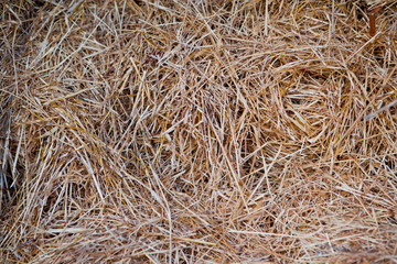 Сено / Texture hay close up