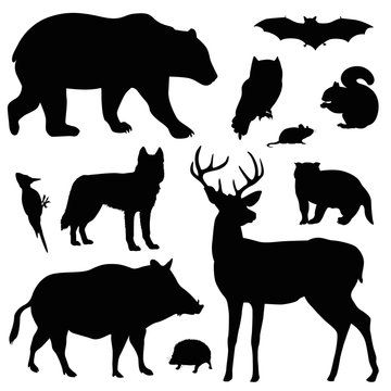 forest animal vector illustration set