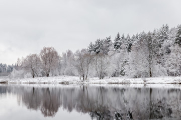 White winter landscape lake in the forest
