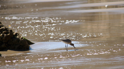 MALIBU, UNITED STATES - OCTOBER 9, 2014: Beautiful and romantic El Matador State Beach in Southern California