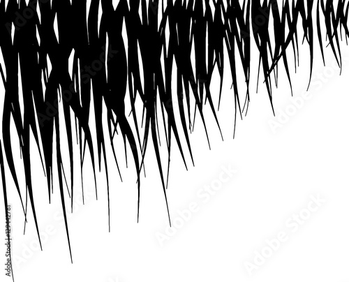 "Vector hair. The contour of the hair. A strand of hair. The silhouette of the hair. Black and