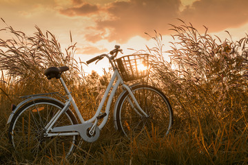Fototapeta premium beautiful landscape image with vintage Bicycle at sunset..