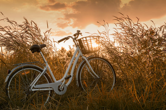 beautiful landscape image with vintage Bicycle at sunset..