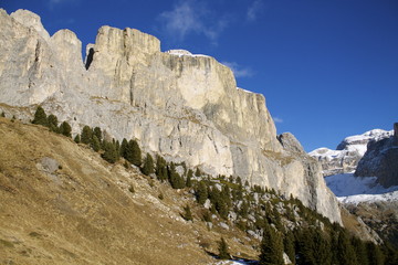 Dolomiti © chiarafornasari