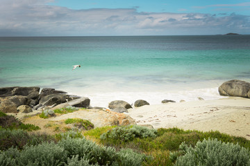 Seascape of Cape Leeuwin, along the Indian Ocean ,Augusta Western Australia .